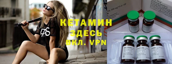 стаф Новодвинск